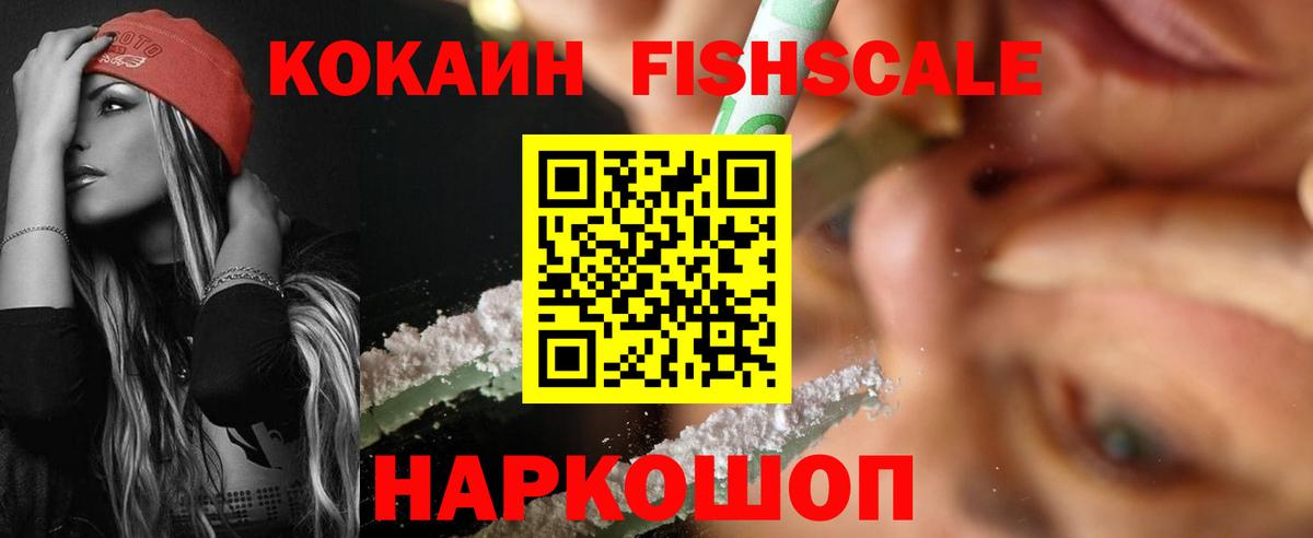 Cocaine Fish Scale  Cocaine FishScale  Вязники  Вход с VPN 