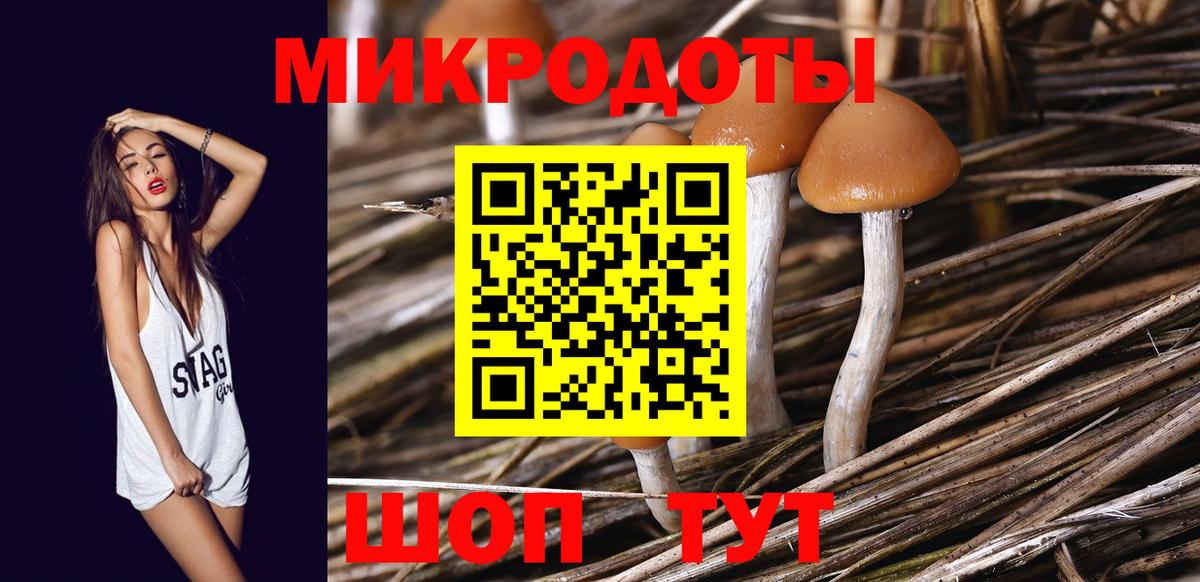 Галлюциногенные грибы прущие грибы Вязники
