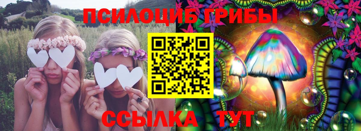 Псилоцибиновые грибы Magic Shrooms  Вход с VPN  Галлюциногенные грибы GOLDEN TEACHER  купить закладку  Вязники 